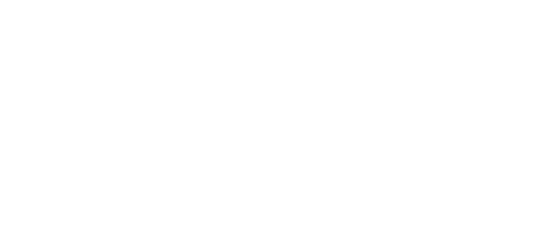 Auto Carga